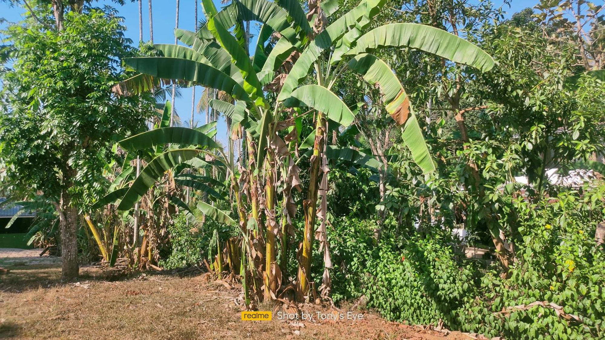 Karapuzha Adventure Park Homestay-By Karapuzha Resorts Meenangadi 外观 照片